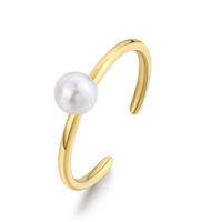 Ringe Sagapo Dame in Stahl SWI32